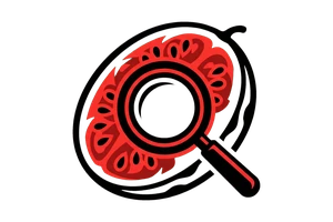 6T体育 - 吃瓜社Logo